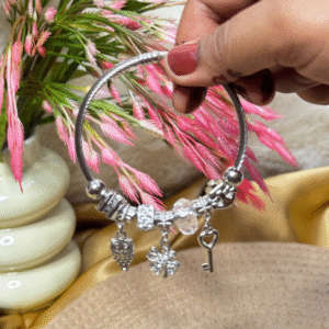 Balusha Elegant Charm Stainless Bracelet